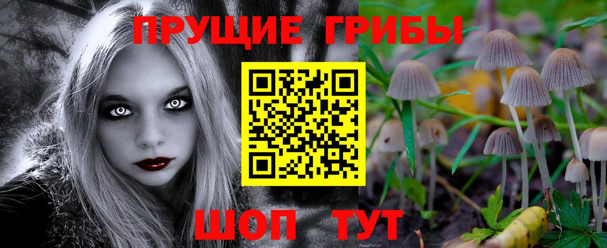 купить закладку  Вход с VPN  Ливны  Галлюциногенные грибы Magic Shrooms  Псилоцибиновые грибы MAGIC MUSHROOMS 